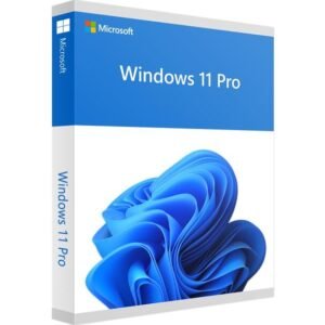 Win 11 pro