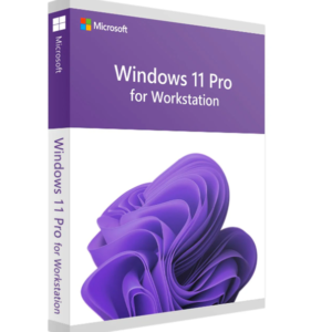  Win11 Pro Workstation
